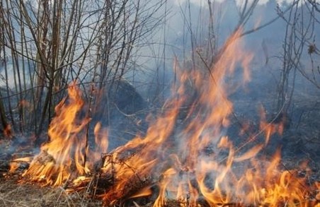 Цьогоріч на Львівщині за підпал сухої трави оштрафували 151 особу