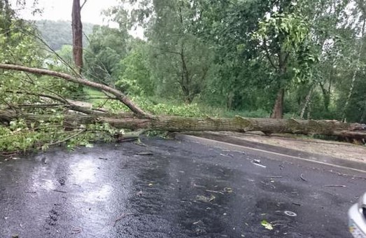 Негода знеструмила 160 населених пунктів на Львівщині