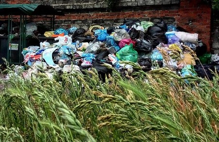 Проблема сміття - це є питання виключно господарське, - Назарій Романчук