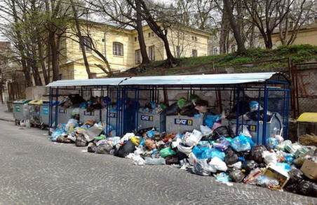 Львів обіцяють очистити від сміття Садового до четверга