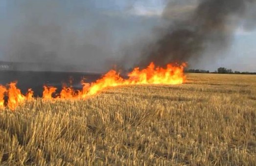 В Львівській області тривають жнива: не спалюйте стерні