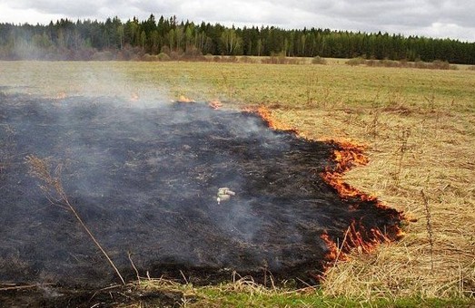 На Львівщині збільшать штрафи за спалювання сухостою