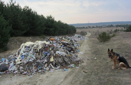 За рік на Львівщині вдвічі зменшилася кількість стихійних сміттєзвалищ
