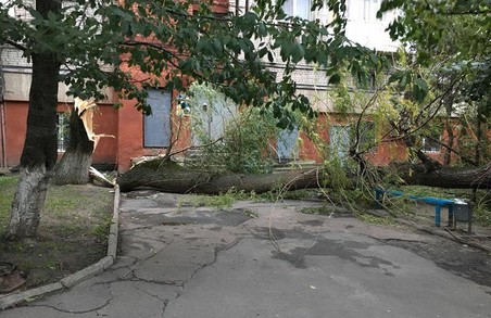 На Львівщині бушувала стихія - знеструмлено 292 населених пункти (Фото)