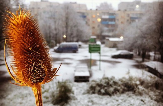 Перший сніг у Львові: фоторепортаж