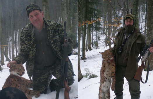 Батько і син, що вбили рідкісну рись, виявились лісником та місцевим депутатом