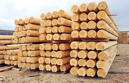 У Львові працює 600 підприємств по обробці дерева