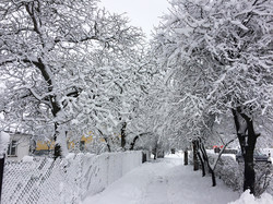 Як виглядає зимова казка в українській глибинці (ФОТО)