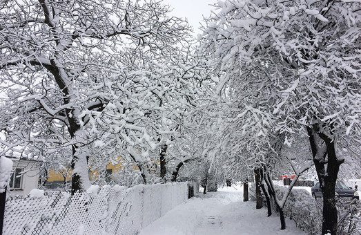Як виглядає зимова казка в українській глибинці (ФОТО)