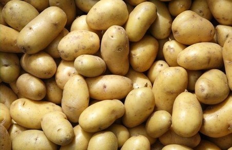 Експерт пояснив, чому на Львівщині подорожчала картопля