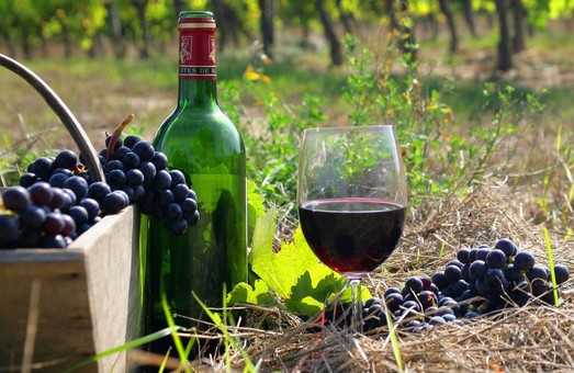 Виробництво вина в Україні впало на 40%