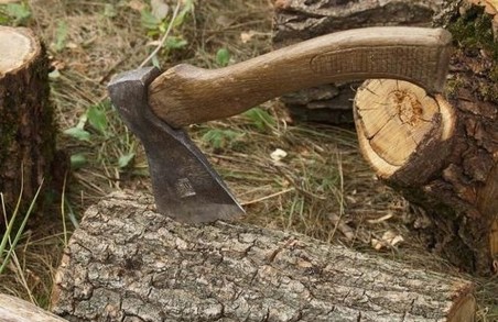 На Львівщині двом чоловіків, які рубали ліс у заповіднику, оголосили амністію, ще один відбудеться штрафом