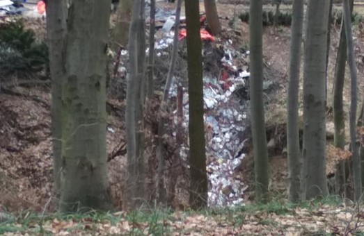 У Львові з'явилося ще одне нелегальне сміттєзвалище