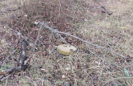На Львівщині селяни знайшли сучасні протитанкові міни