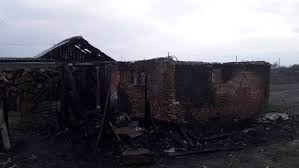 На Львівщині чорні лісоруби навмисно спалюють майно селян