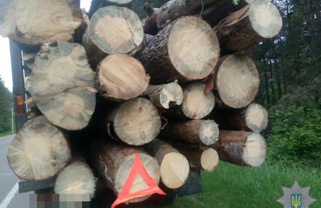 На Львівщині знову намагалися вивезти незаконно зрубаний ліс