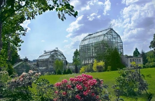 Львівський ботанічний сад запрошує на день відкритих дверей