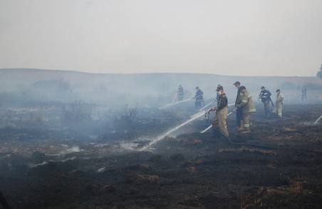Рятувальникам Львівщини повідомили про пожежу торфовища через 9 днів після її початку