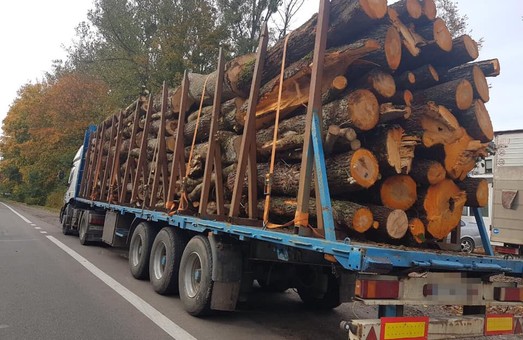 У Львові затримали вантажівку з незаконно зрубаною деревиною