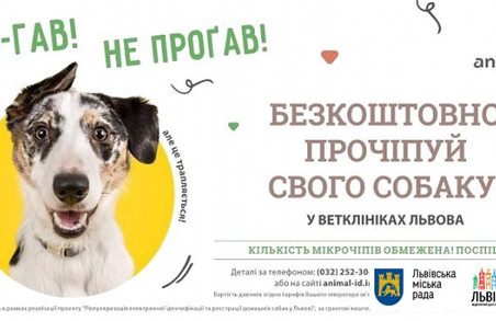 У Львові можна безкоштовно прочіпувати свою собаку: місця обмежені