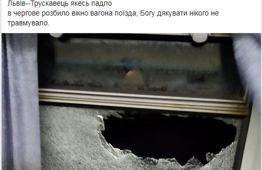 Біля Львова затримали чоловіка, який закидав камінням потяг та травмував пасажира