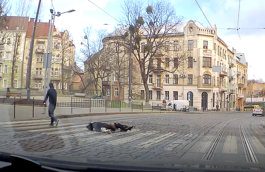 У Львові чоловік вдарив жінку на переході