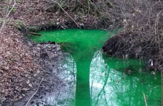 Біля Львова річка позеленіла від відходів
