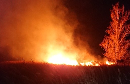 Біля Львова ледь загасили 2 масштабні пожежі