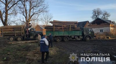 На Львівщині виявили незаконну пилораму