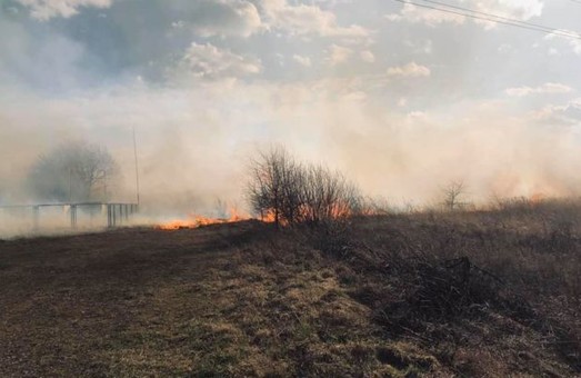 Фермери з Львівщини масово спалили сухостій та спричинили пожежу
