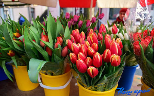 На Львівщині жінку оштрафували за торгівлю квітами під час карантину