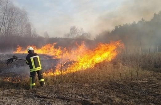 На вихідних в Львівській області склали 27 протоколів на паліїв сухостою