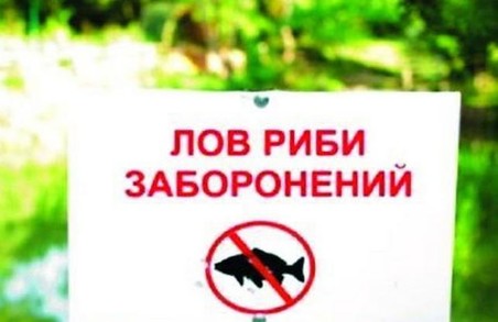 На Турківщині заборонили вилов риби на період нересту