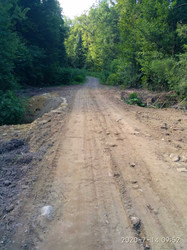 На Буковині відновлюють лісові дороги