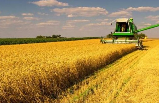 На Львівщині уже зібрали урожай на понад 115 тисячах гектарів