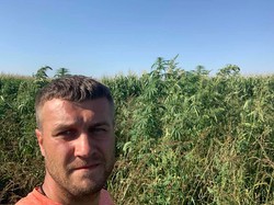 На Львівщині громадський активіст виявив посіви коноплі