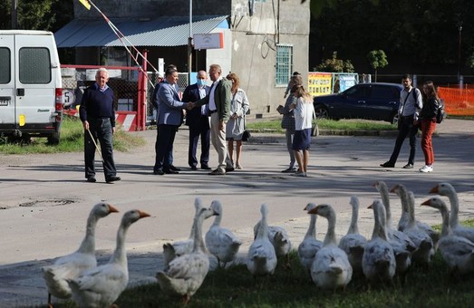 Львівського мера Садового під час візиту на вулицю ҐМиколайчука переслідувала зграя гусей