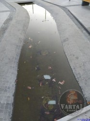 У Львові у фонтані на площі Двірцевій плаває сміття