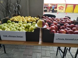 У Львові провели День яблук