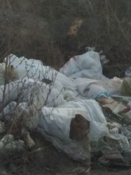 У Львові виявили два стихійні сміттєзувалища