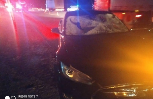 На Львівщині під колеса «Tesla S» потрапили два молоді пішоходи