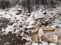 У Львові невідомі викинули сміття в районі кінцевої тролейбуса № 31