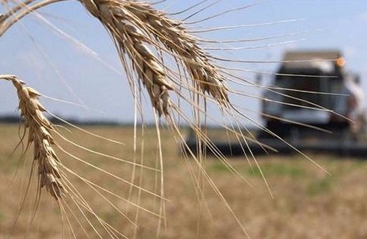 Аграрії Львівщини отримають майже 40 мільйонів гривень державної допомоги