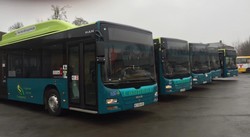 Луцькі перевізники закуповують автобуси великого класу