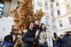 У Львові встановили 4-метровий дідух, символ Різдва (ФОТО)
