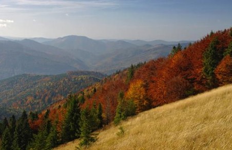 На Львівщині Національний природний парк «Сколівські Бескиди» тепер можна відвідати онлайн