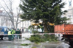 У Львові розпочали демонтаж головної ялинки міста