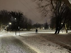 У парку 700-річчя Львова включили освітлення