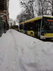 У Львові на спуску до Університету зупинилися тролейбуси