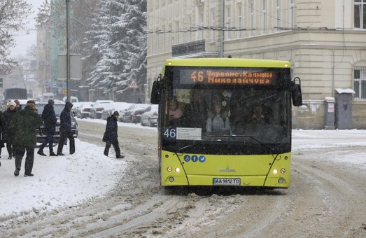У Львові на міських маршрутах курсує понад 500 одиниць громадського транспорту
